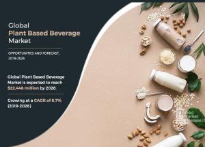 Plant-Based Beverage Market Size