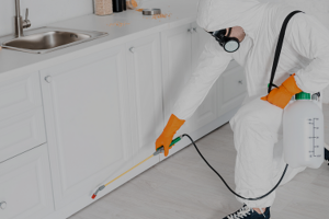 Extermination Montreal PRO Nature