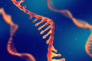 global RNA based therapeutics market