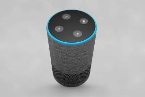 Bluetooth Speaker Market