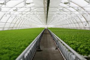Vertical Farming Market