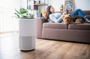 Air Purifiers market-PMI