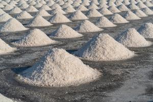 Polymeric Sand Market
