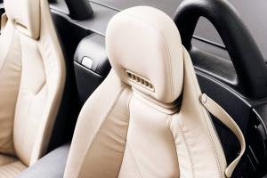 Global Auto Ventilated Seats Market