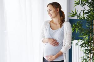 Maternity Clothing Market