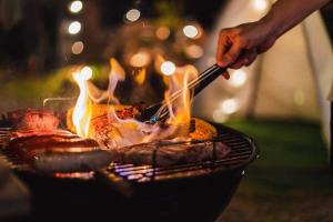 Camping Grills Market