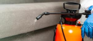 Elastomeric Coating Market