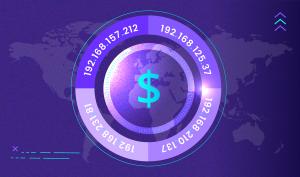 IPv4 addresses revolving around the globe which is marked with a dollar sign