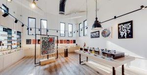 the-artist-tree-dispensary-los-angeles-interior