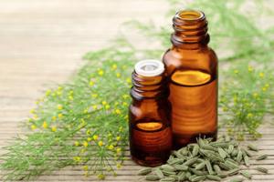 Fennel Seeds Oil Market