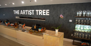 the-artist-tree-dispensary-riverside-interior