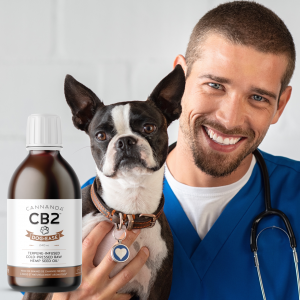 Male veterinarian holding dog with Dog-Ease CB2 oilCa