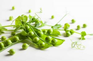 Pea Protein Ingredients Market