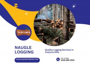 Quality Logging Services in Ohio