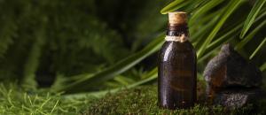 Neem Extract Market