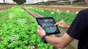Internet Of Things In Precision Agriculture