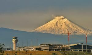 quito el coloso