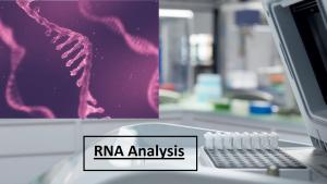 RNA Analysis Market Segmented by Product Type (Instruments, Kits & Reagents - miRNA & siRNA | Reverse Transcriptases & RT-PCR | RNA Extraction & Purification | RNA Interference, Services), Technology (Real Time-PCR (qPCR) Technology, Microarray Technology