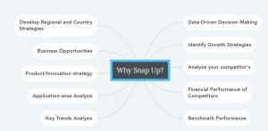 MicroSD market