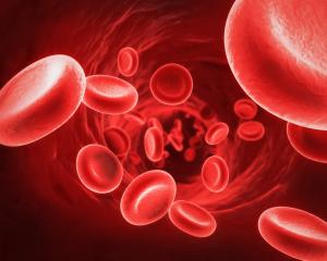 Sickle Cell Disease Treatment Market-By PMI