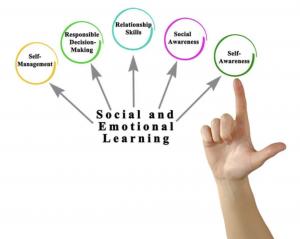Social Emotional Learning For The Individual Child