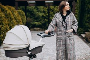  Luxury Strollers Market
