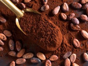 Cocoa Market Outlook