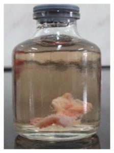 Formalin Market Trend