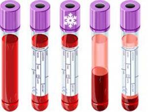 Blood Collection
