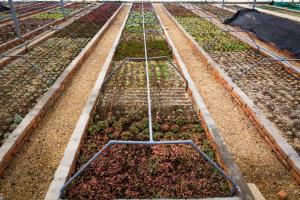 Drip Irrigation Systems Market