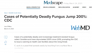 The CDC has seen a 200% increase in Candida auris cases since 2019