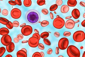 Thalassemia treatment Market-PMI