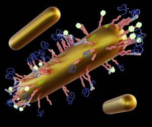 Antibody Drug Conjugate Market - By PMI