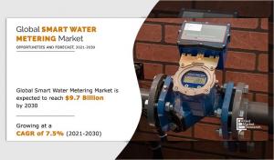 Smart Water Metering Market Share