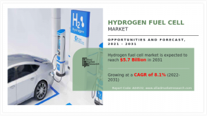hydrogen-fuel-cell