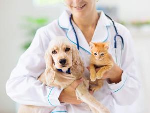 Pet Insurance Market