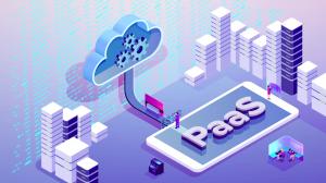 Payments As A Service(PaaS) Market