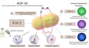 AUP-16 4-in-1 Bacterial Vector for Chronic Wounds