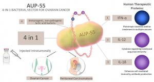 AUP-55, our 4-in-1 Bacterial Vector for Ovarian Cancer and Peritoneal Carcinomatosis