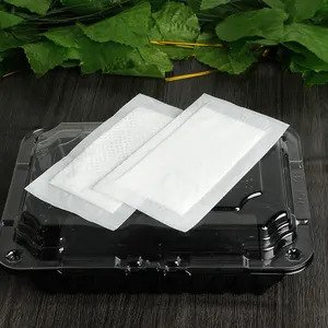 Absorbent Pads For Food Packaging Market