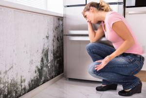 How Mould can Affect the Home Environment in a Negative Way
