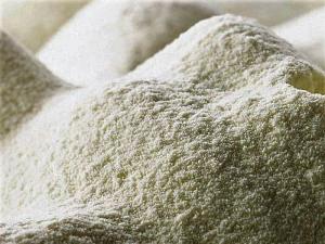 Milk Replacer Market