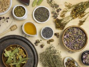 Dried Herbs Market