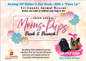 Moms & Pups Bark & Brunch invite