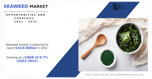 Seaweed Market 2031