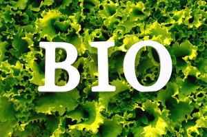 Bio-Based Organic Acids Market