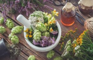 Hops Extract Market - BY PMI