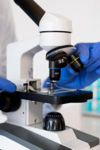 Scanning Electron Microscopes (SEM) Market