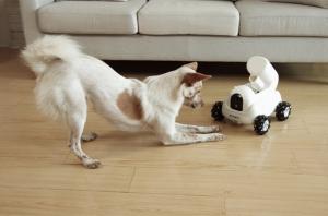 Robot Pet Care Market -PMI