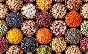 Hybrid Seeds Market